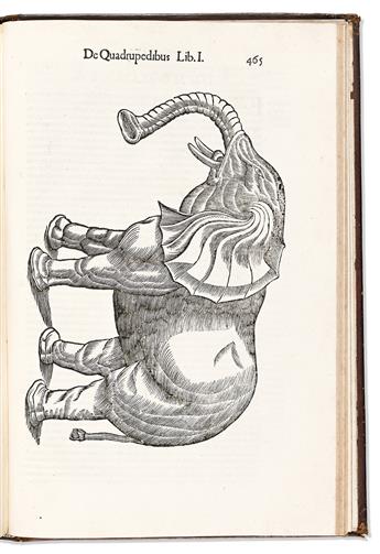 Aldrovandi, Ulisse (1522-1605) De Quadrupedibus Solidipedibus Volumen Integrum.